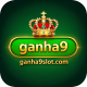 ganha9slot.com favicon
